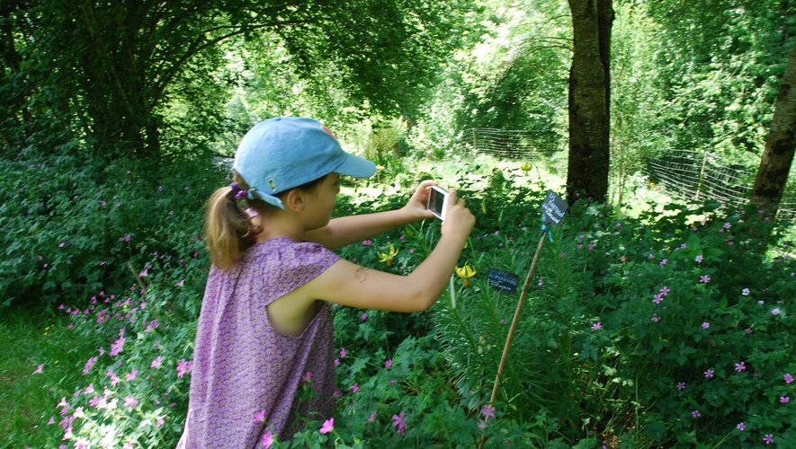 Petits et grands sont attendus en nombre ce week-end dans cet écrin de verdure.DDM