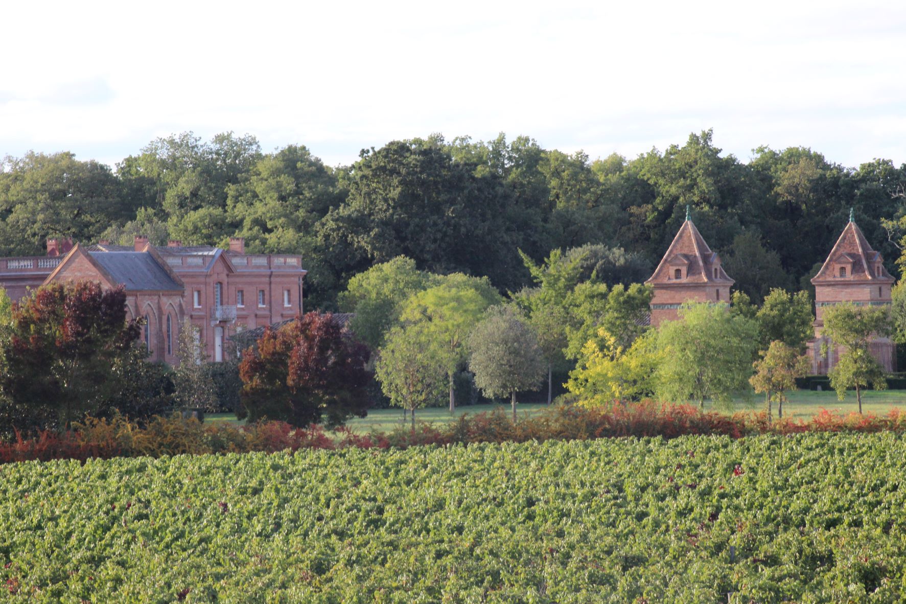 Sans oublier de chanter