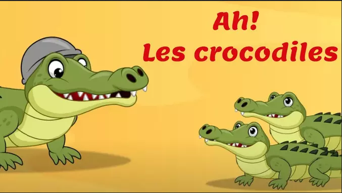 crocos